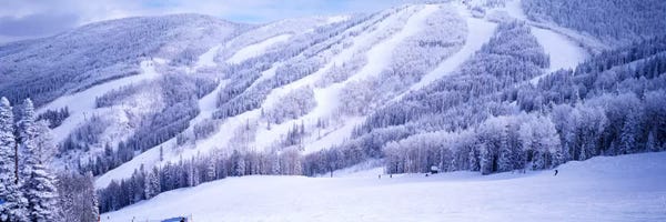 Snowy Mountains: Snow-Covered Ski Slopes, Steamboat Springs, Colorado, USA by Panoramic Images