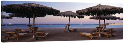 Lounge chairs with sunshades on the beach, Hilton Resort, Hurghada, Egypt Canvas Art Print - Tropical Beach Art