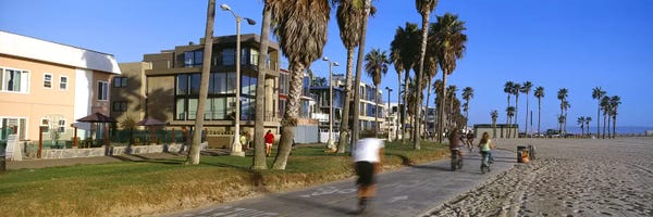 Los Angeles: People riding bicycles near a beach, Venice Beach, City of Los Angeles, California, USA by Panoramic Images
