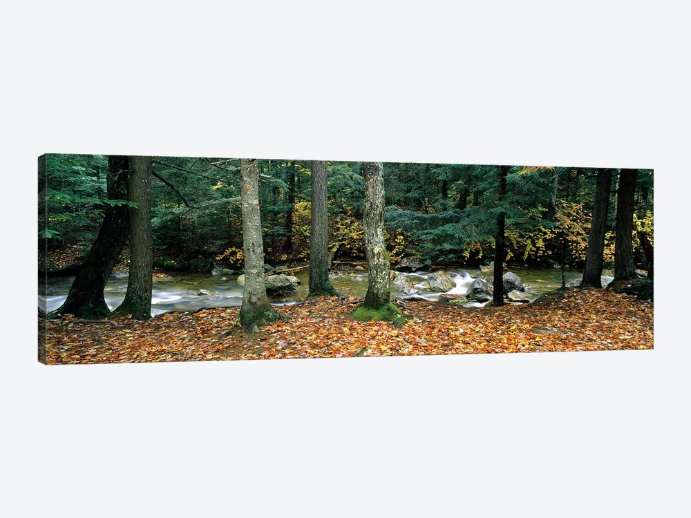 River flowing through a forest, White Mountain National Forest, New Hampshire, USA 1-piece Canvas Artwork