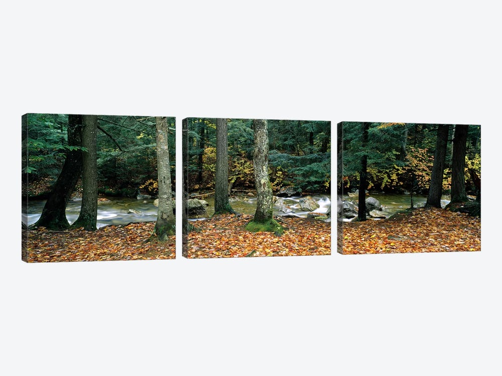 River flowing through a forest, White Mountain National Forest, New Hampshire, USA by Panoramic Images 3-piece Canvas Artwork