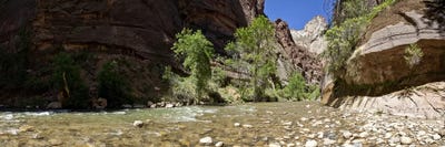 North Fork of the Virgin River, Zion National Park, Washington County, Utah, USA by Panoramic Images framed canvas print