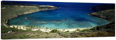 High angle view of a coast, Hanauma Bay, Oahu, Honolulu County, Hawaii, USA Canvas Art Print - Tropical Beach Art