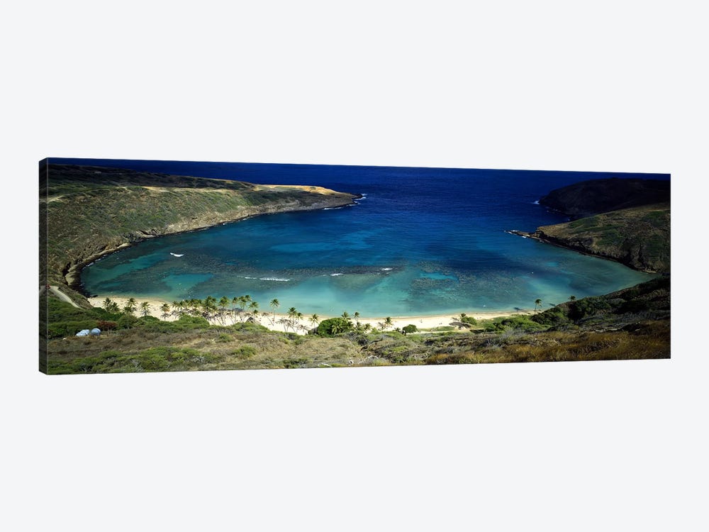 High angle view of a coast, Hanauma Bay, Oahu, Honolulu County, Hawaii, USA by Panoramic Images 1-piece Art Print
