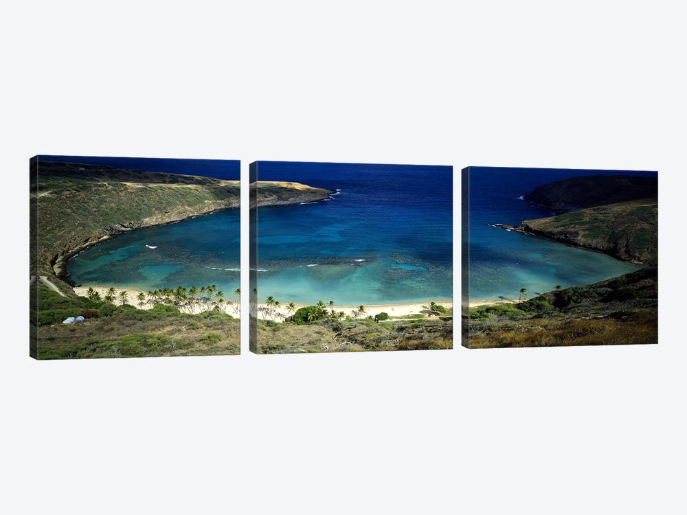 High angle view of a coast, Hanauma Bay, Oahu, Honolulu County, Hawaii, USA by Panoramic Images 3-piece Canvas Print
