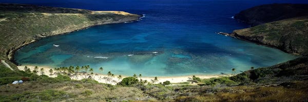 Hawaii: High angle view of a coast, Hanauma Bay, Oahu, Honolulu County, Hawaii, USA by Panoramic Images