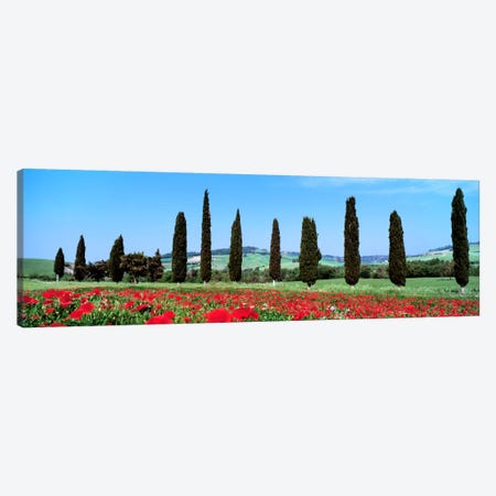 Countryside Landscape, Tuscany, Italy Canvas Print #PIM888} by Panoramic Images Canvas Artwork