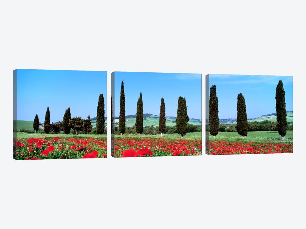Countryside Landscape, Tuscany, Italy by Panoramic Images 3-piece Art Print
