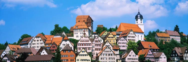 Buildings on a hill, Altensteig, Black Forest, Germany