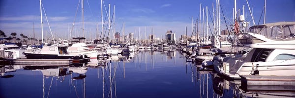 Long Beach: Sailboats at a harbor, Long Beach, Los Angeles County, California, USA by Panoramic Images
