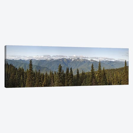 Mountain range, Olympic Mountains, Hurricane Ridge, Olympic National Park, Washington State, USA Canvas Print #PIM9016} by Panoramic Images Canvas Artwork