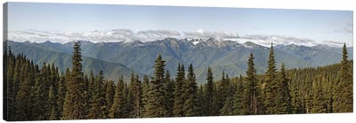 Mountain range, Olympic Mountains, Hurricane Ridge, Olympic National Park, Washington State, USA Canvas Art Print - Wilderness Art