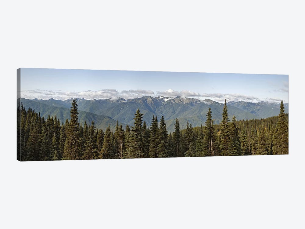 Mountain range, Olympic Mountains, Hurricane Ridge, Olympic National Park, Washington State, USA by Panoramic Images 1-piece Canvas Art