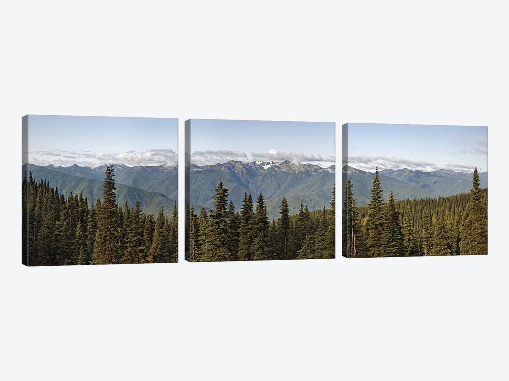 Mountain range, Olympic Mountains, Hurricane Ridge, Olympic National Park, Washington State, USA by Panoramic Images 3-piece Canvas Art