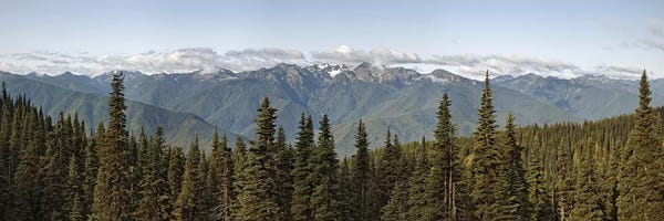 Washington: Mountain range, Olympic Mountains, Hurricane Ridge, Olympic National Park, Washington State, USA by Panoramic Images