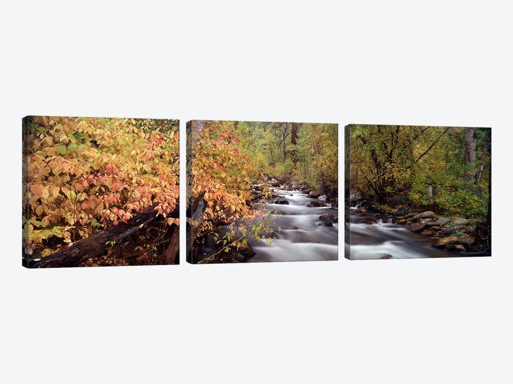 Stream flowing through a forest 3-piece Canvas Art Print