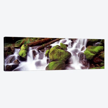Cascading waterfall in a rainforestOlympic National Park, Washington State, USA Canvas Print #PIM9032} by Panoramic Images Canvas Art Print