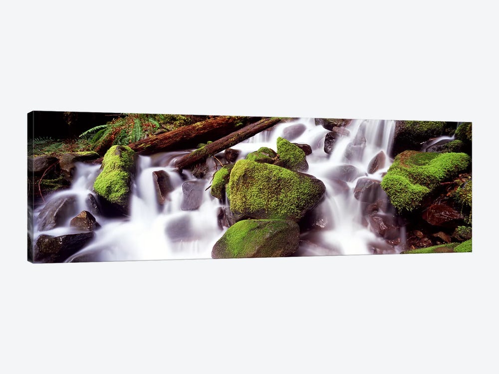 Cascading waterfall in a rainforestOlympic National Park, Washington State, USA by Panoramic Images 1-piece Canvas Artwork
