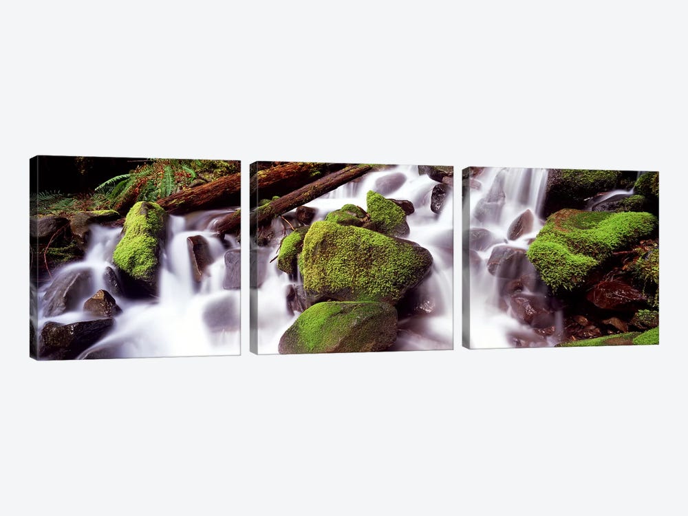 Cascading waterfall in a rainforestOlympic National Park, Washington State, USA by Panoramic Images 3-piece Canvas Artwork