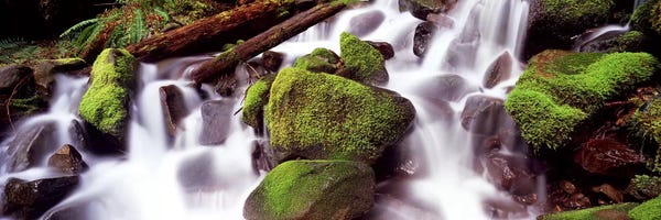 Olympic National Park: Cascading waterfall in a rainforestOlympic National Park, Washington State, USA by Panoramic Images