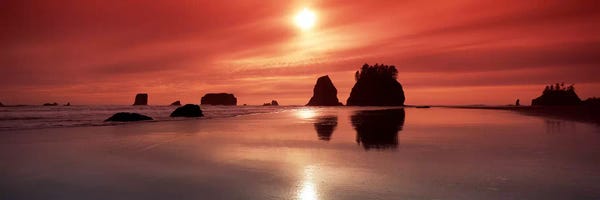 Washington: Silhouette of sea stacks at sunsetSecond Beach, Olympic National Park, Washington State, USA by Panoramic Images