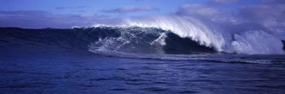 Surfer in the oceanMaui, Hawaii, USA by Panoramic Images acrylic art print