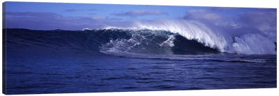 Surfer in the oceanMaui, Hawaii, USA Canvas Art Print - Wave Art