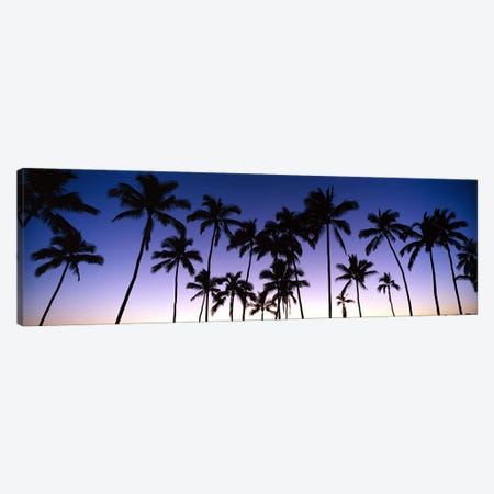 Silhouettes of palm trees at sunset Canvas Print #PIM9051} by Panoramic Images Art Print