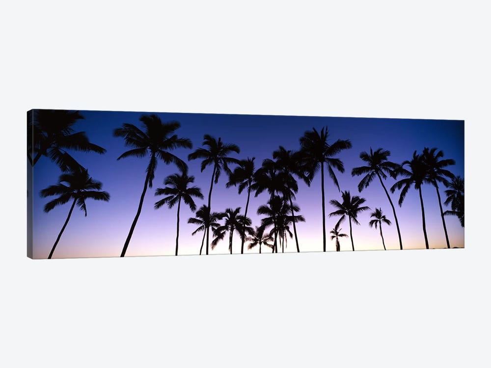 Silhouettes of palm trees at sunset by Panoramic Images 1-piece Art Print