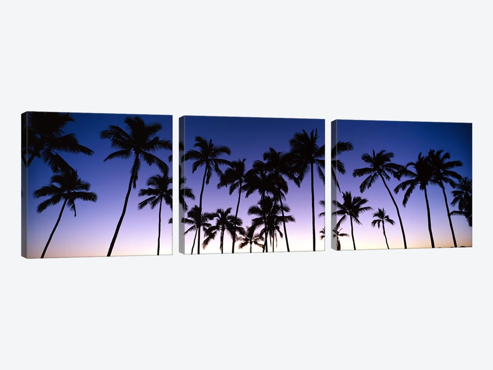 Silhouettes of palm trees at sunset by Panoramic Images 3-piece Canvas Print