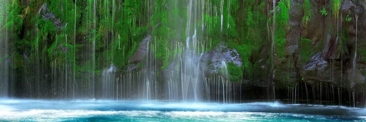 Waterfall in a forestMossbrae Falls, Sacramento River, Dunsmuir, Siskiyou County, California, USA