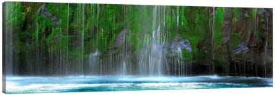 Waterfall in a forestMossbrae Falls, Sacramento River, Dunsmuir, Siskiyou County, California, USA Canvas Art Print - Sacramento