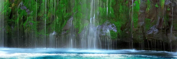 Sacramento: Waterfall in a forestMossbrae Falls, Sacramento River, Dunsmuir, Siskiyou County, California, USA by Panoramic Images