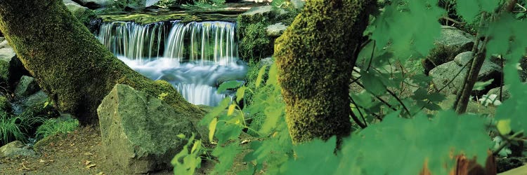 Waterfall in a forest