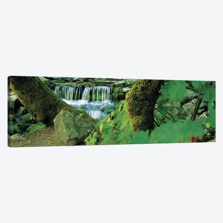 Waterfall in a forest Canvas Print #PIM9071} by Panoramic Images Art Print