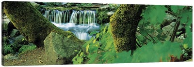 Waterfall in a forest Canvas Art Print - Moss Art