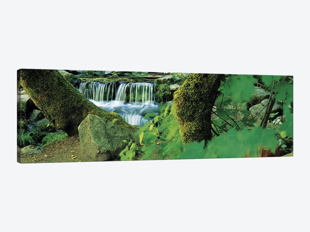 Waterfall in a forest by Panoramic Images 1-piece Canvas Art Print