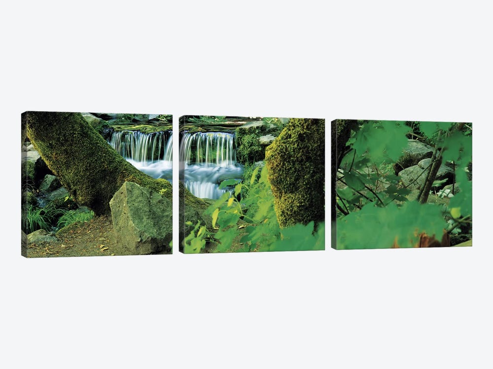 Waterfall in a forest by Panoramic Images 3-piece Canvas Print