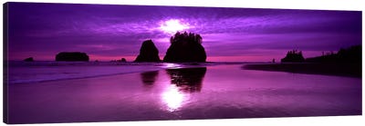Silhouette of sea stacks at sunset, Second Beach, Olympic National Park, Washington State, USA Canvas Art Print - Washington Art
