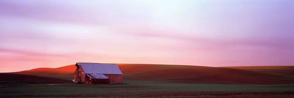 Washington: Barn in a field at sunset III, Palouse, Whitman County, Washington State, USA by Panoramic Images