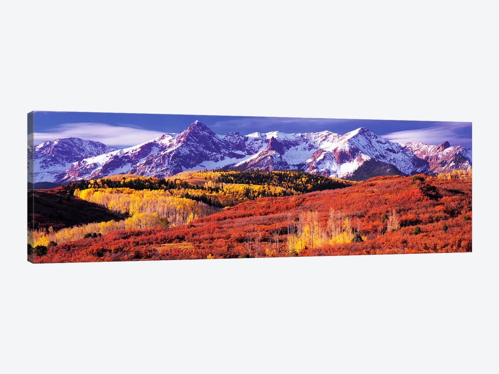 Autumn Mountainside Landscape Featuring Sneffels Range, San Miguel County, Colorado, USA by Panoramic Images 1-piece Canvas Art