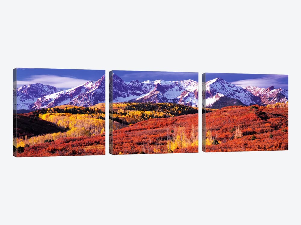 Autumn Mountainside Landscape Featuring Sneffels Range, San Miguel County, Colorado, USA by Panoramic Images 3-piece Canvas Art