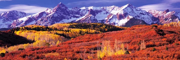 Colorado: Autumn Mountainside Landscape Featuring Sneffels Range, San Miguel County, Colorado, USA by Panoramic Images
