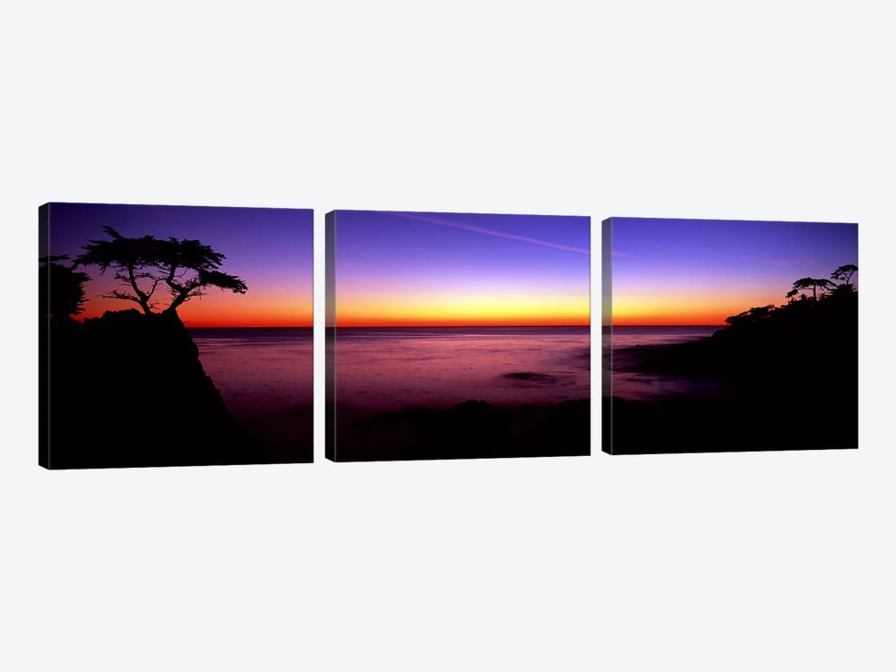 Silhouette of The Lone Cypress, 17-Mile Drive, Pebble Beach, Monterey County, California, USA by Panoramic Images 3-piece Canvas Art
