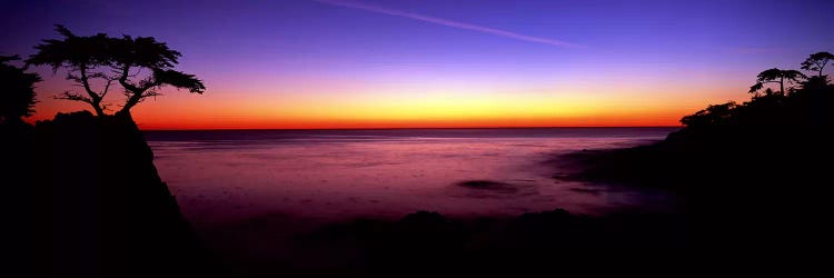 Silhouette of The Lone Cypress, 17-Mile Drive, Pebble Beach, Monterey County, California, USA