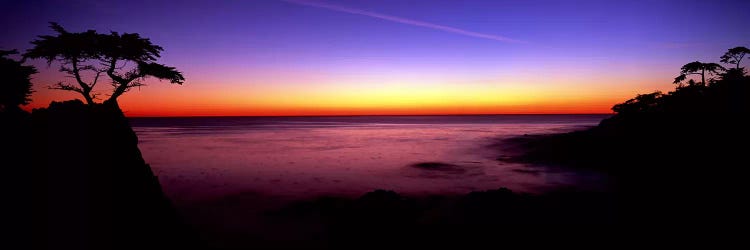 Silhouette of The Lone Cypress, 17-Mile Drive, Pebble Beach, Monterey County, California, USA