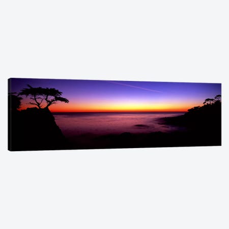 Silhouette of The Lone Cypress, 17-Mile Drive, Pebble Beach, Monterey County, California, USA Canvas Print #PIM9098} by Panoramic Images Art Print
