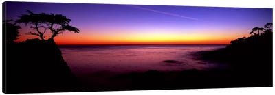 Silhouette of The Lone Cypress, 17-Mile Drive, Pebble Beach, Monterey County, California, USA Canvas Art Print - Monterey
