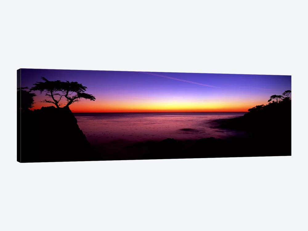 Silhouette of The Lone Cypress, 17-Mile Drive, Pebble Beach, Monterey County, California, USA by Panoramic Images 1-piece Canvas Art