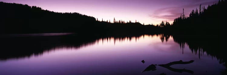 Reflection of trees in a lake, Mt Rainier, Mt Rainier National Park, Pierce County, Washington State, USA